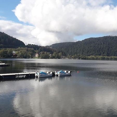 Chalet 3 Etoiles A Gerardmer. Zewnętrze zdjęcie