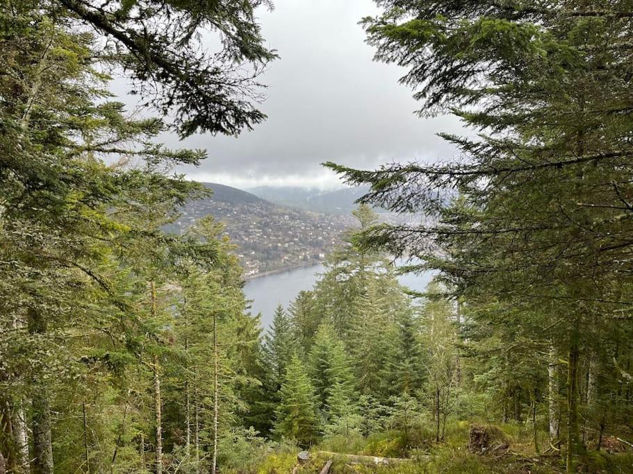 Chalet 3 Etoiles A Gerardmer. Zewnętrze zdjęcie