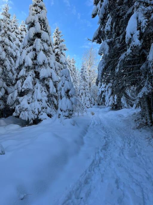 Chalet 3 Etoiles A Gerardmer. Zewnętrze zdjęcie