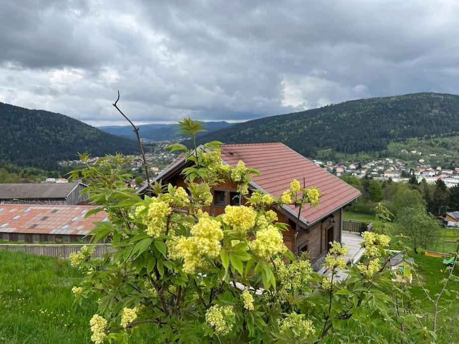 Chalet 3 Etoiles A Gerardmer. Zewnętrze zdjęcie