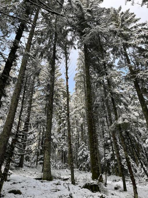 Chalet 3 Etoiles A Gerardmer. Zewnętrze zdjęcie