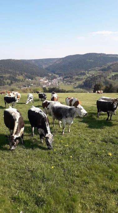 Chalet 3 Etoiles A Gerardmer. Zewnętrze zdjęcie