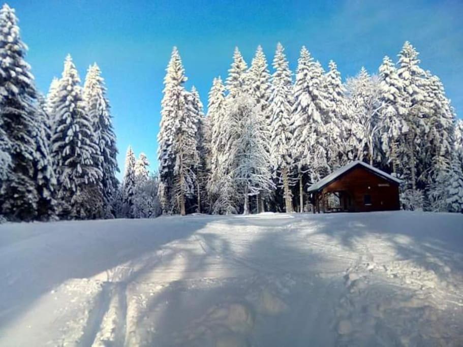 Chalet 3 Etoiles A Gerardmer. Zewnętrze zdjęcie