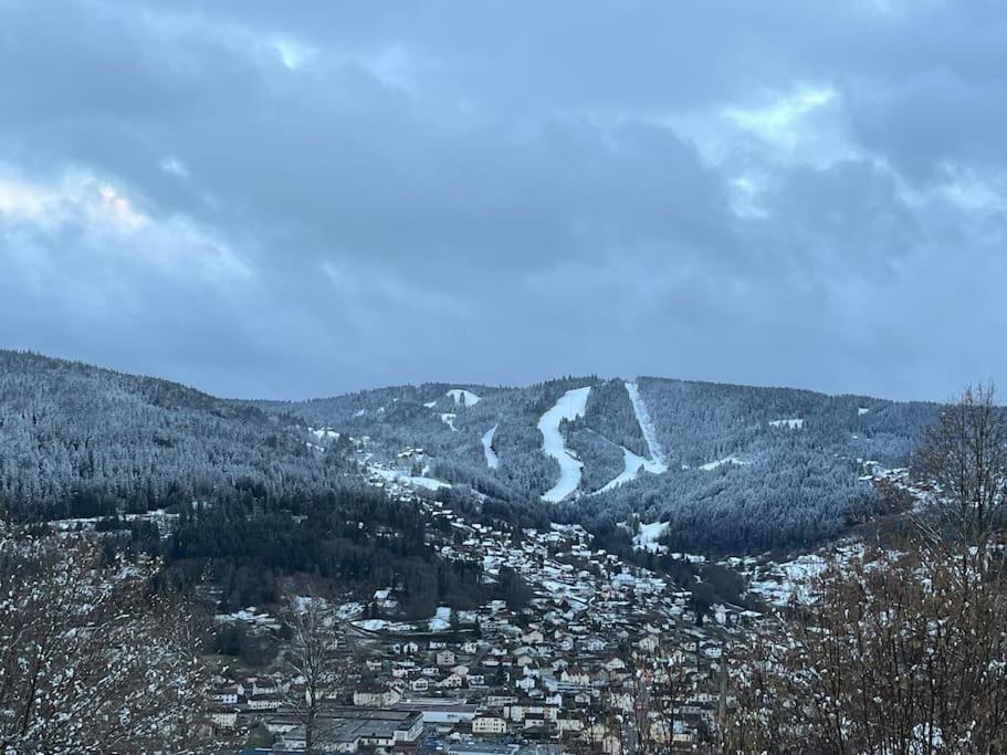 Chalet 3 Etoiles A Gerardmer. Zewnętrze zdjęcie