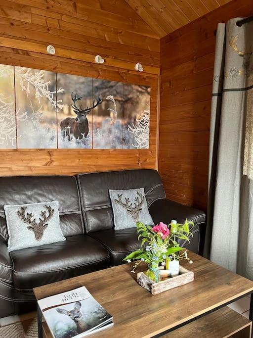 Chalet 3 Etoiles A Gerardmer. Zewnętrze zdjęcie