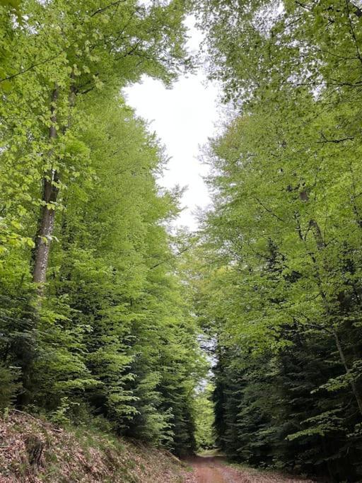 Chalet 3 Etoiles A Gerardmer. Zewnętrze zdjęcie