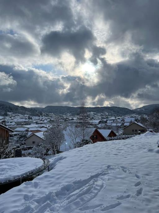 Chalet 3 Etoiles A Gerardmer. Zewnętrze zdjęcie