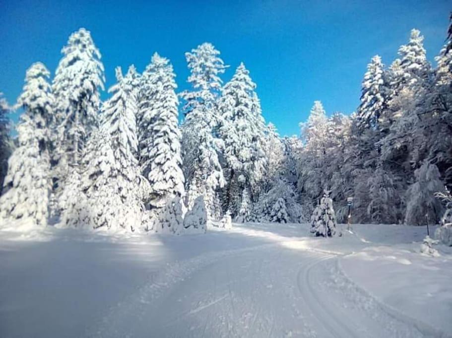 Chalet 3 Etoiles A Gerardmer. Zewnętrze zdjęcie
