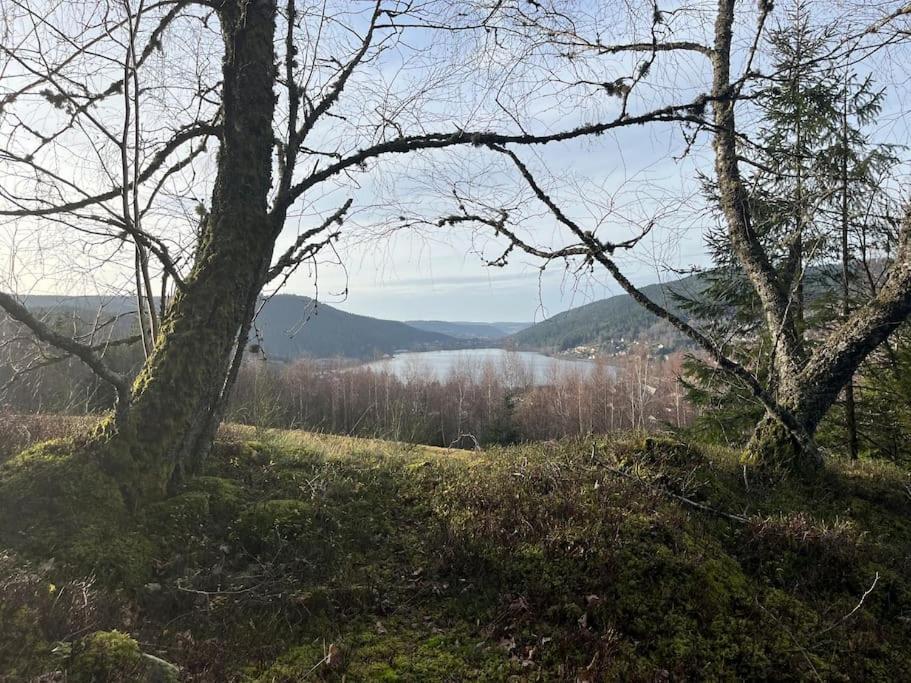 Chalet 3 Etoiles A Gerardmer. Zewnętrze zdjęcie