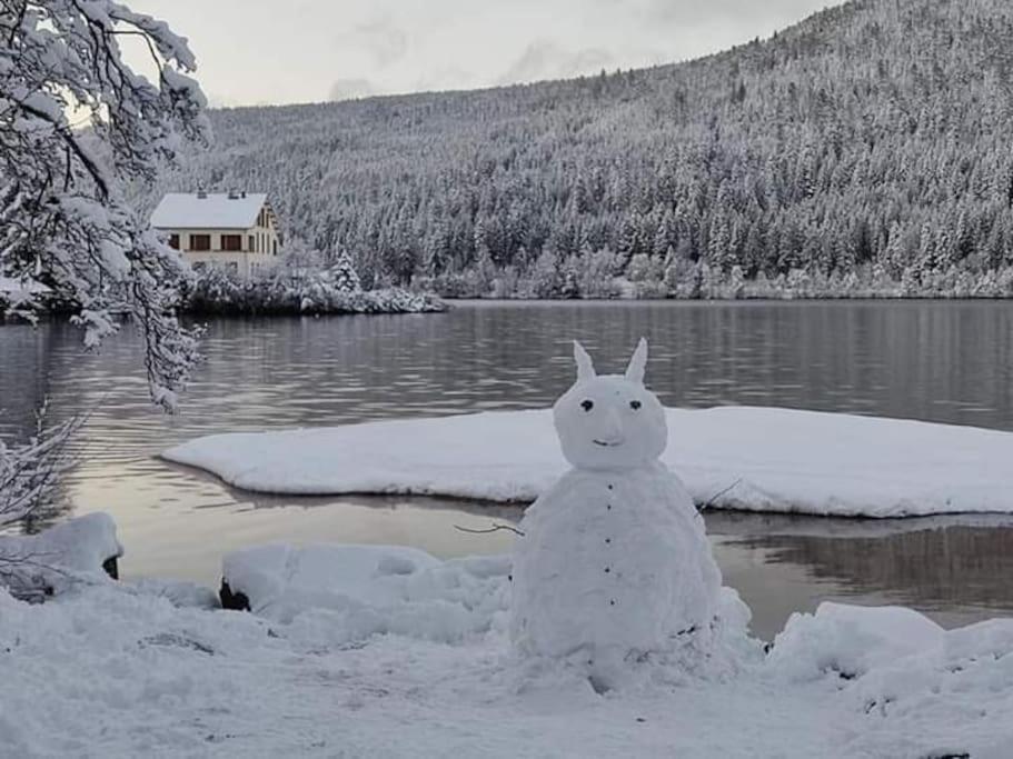 Chalet 3 Etoiles A Gerardmer. Zewnętrze zdjęcie