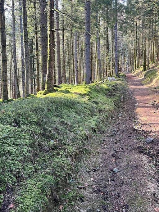 Chalet 3 Etoiles A Gerardmer. Zewnętrze zdjęcie