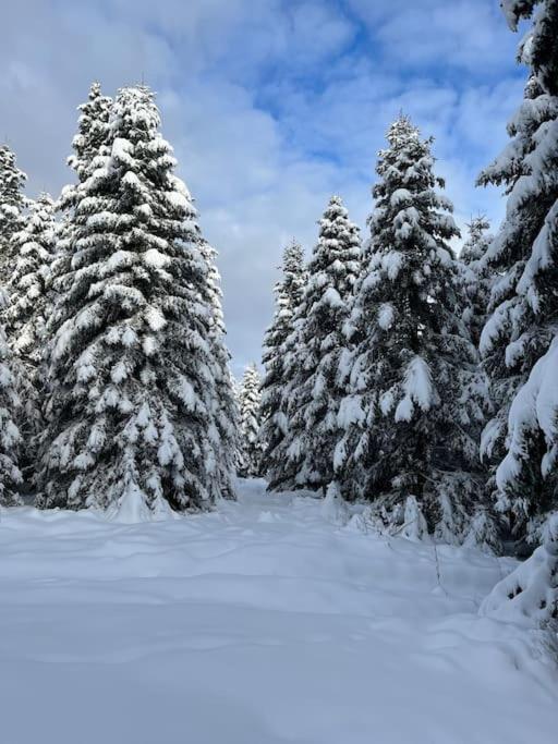 Chalet 3 Etoiles A Gerardmer. Zewnętrze zdjęcie