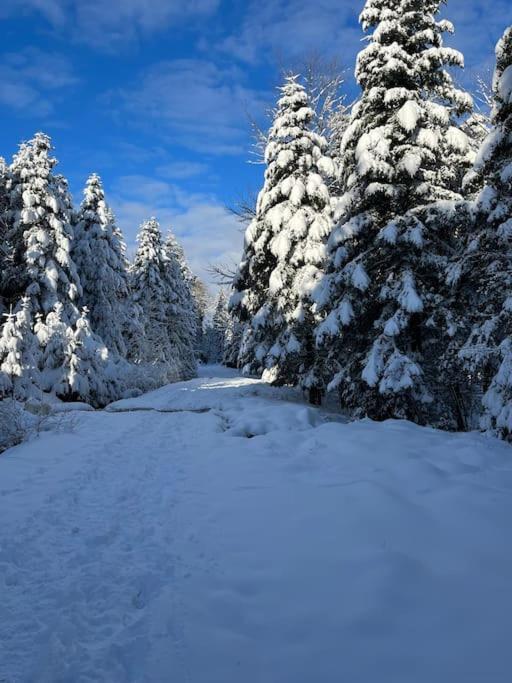 Chalet 3 Etoiles A Gerardmer. Zewnętrze zdjęcie
