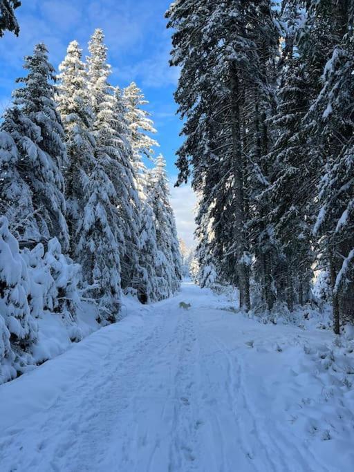 Chalet 3 Etoiles A Gerardmer. Zewnętrze zdjęcie