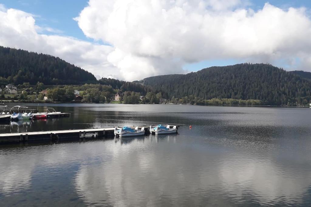 Chalet 3 Etoiles A Gerardmer. Zewnętrze zdjęcie