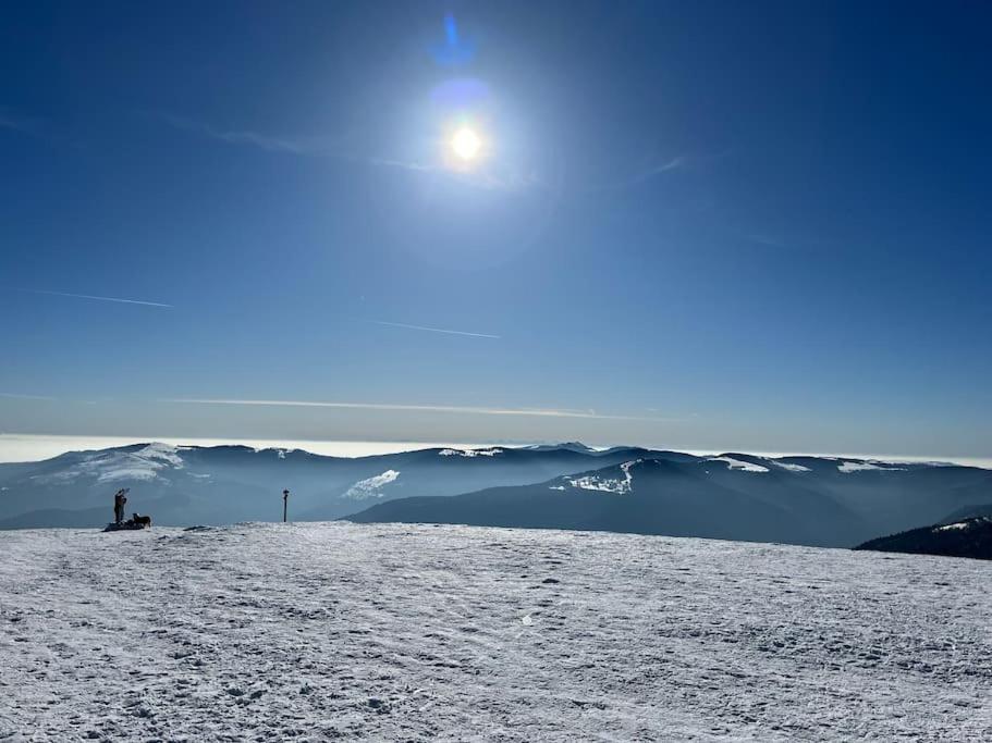 Chalet 3 Etoiles A Gerardmer. Zewnętrze zdjęcie