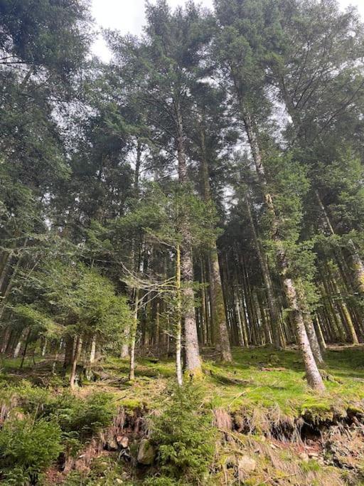 Chalet 3 Etoiles A Gerardmer. Zewnętrze zdjęcie